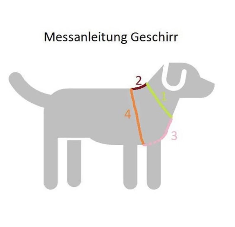 Hundegeschierr Glamour
