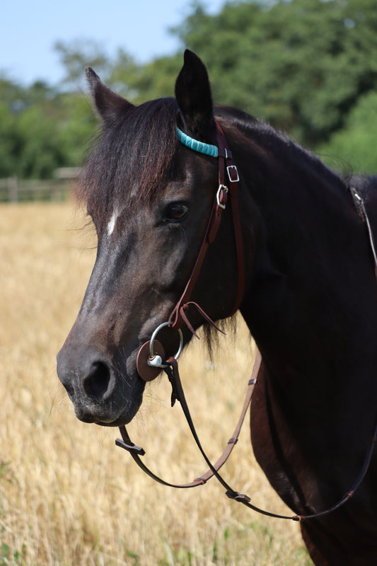 Stirnriemen Western ONE