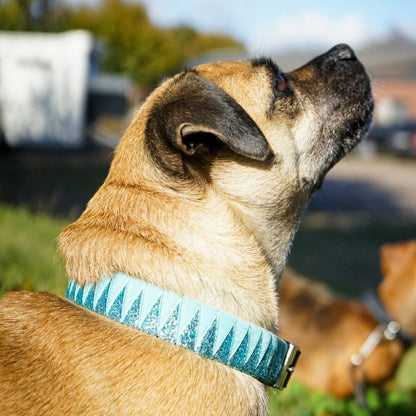 Hundehalsband