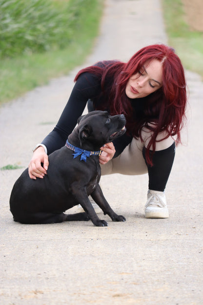 Hundehalsband